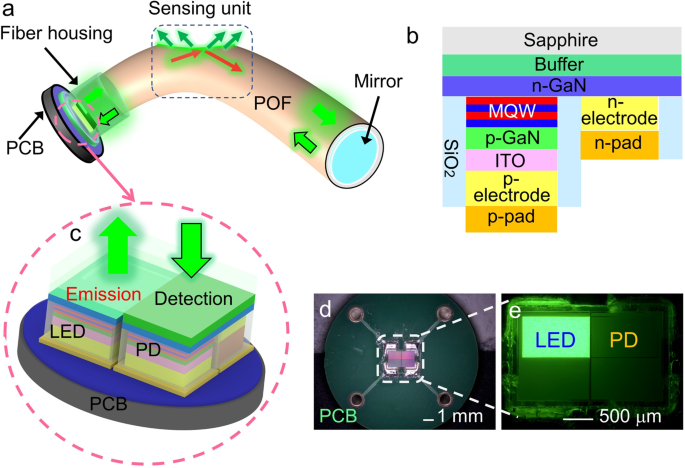 Fig. 1: Fabrication processes of the wearable sensor.