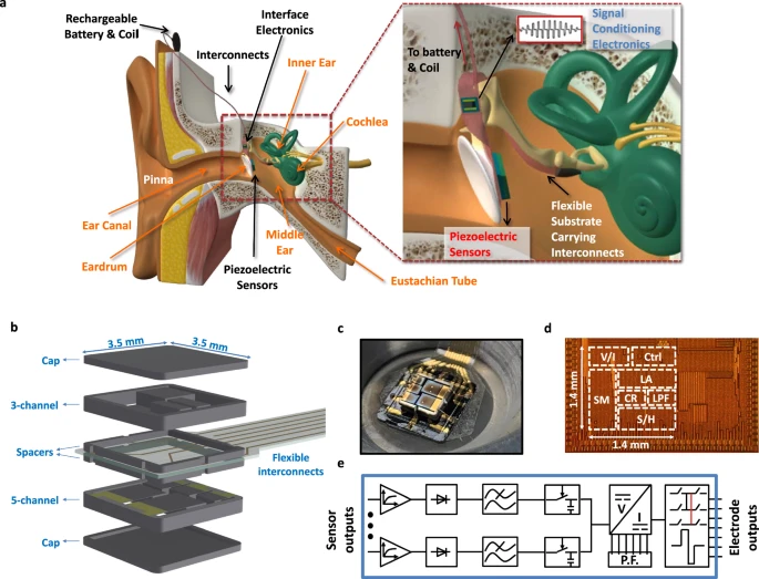 Full-custom fully implantable cochlear implant (FICI) system with piezoelectric sensor