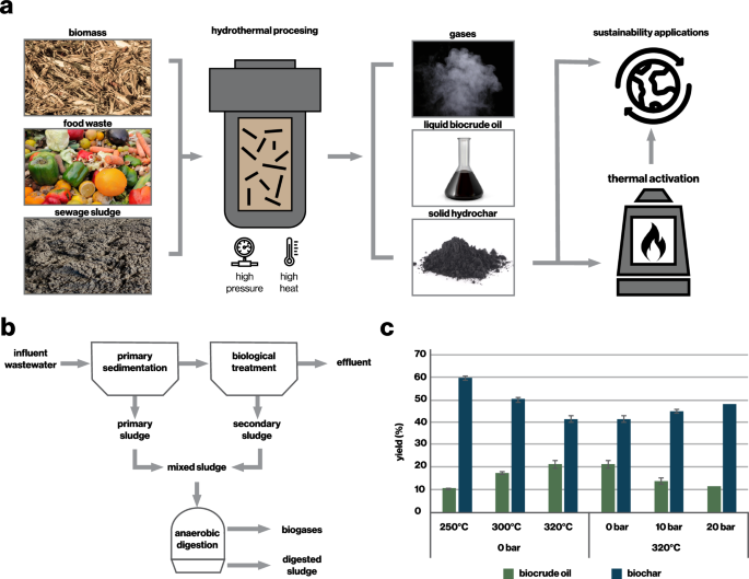 Fig. 1: Hydrothermal processing of organic materials.