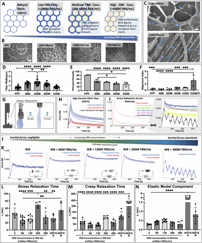 Fig. 3: Differences in FBN Gel Structure and Viscoelastic Modeling in Response to Particle Concentration.