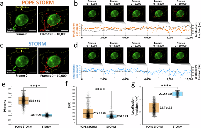 Fig. 2: Enhanced STORM imaging with POPE microscopy.
