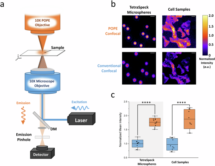 Fig. 3: Enhanced confocal microscopy with the POPE attachment.