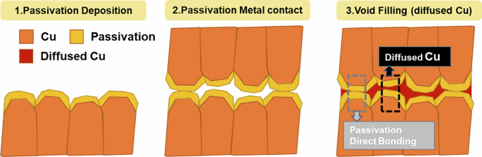 Fig. 2: Mechanism of passivation bonding.