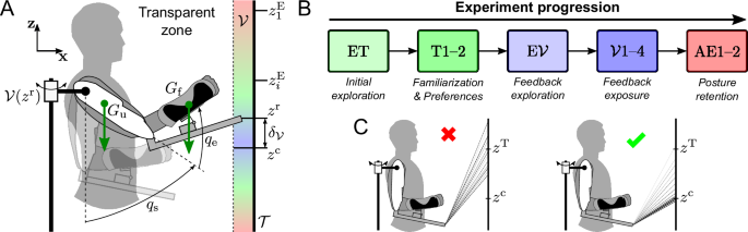 Fig. 1: Human-exoskeleton manifold reaching experiment with gravito-vibratory landscape.