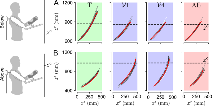 Fig. 3: Reaching trajectories of representative participants for each group through the experiment.