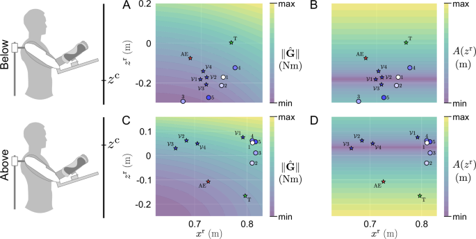 Fig. 4: Navigation maps of two representative participants of the above and below groups.