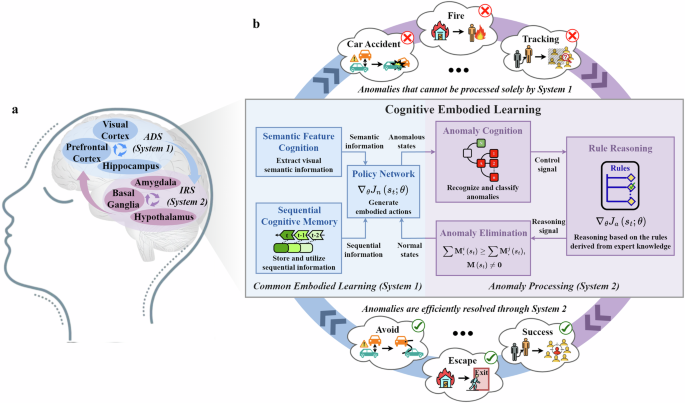 Fig. 1: The human brain mechanism and its inspiration for our proposed CEL.