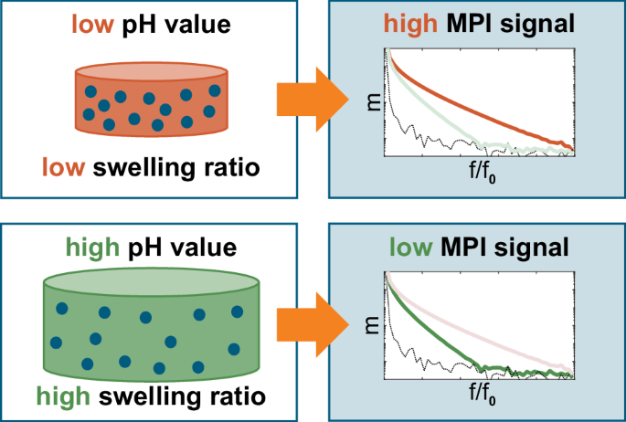 Fig. 1: Principle of signal generation for resolving pH in magnetic particle imaging using a pH-responsive magnetic hydrogel.