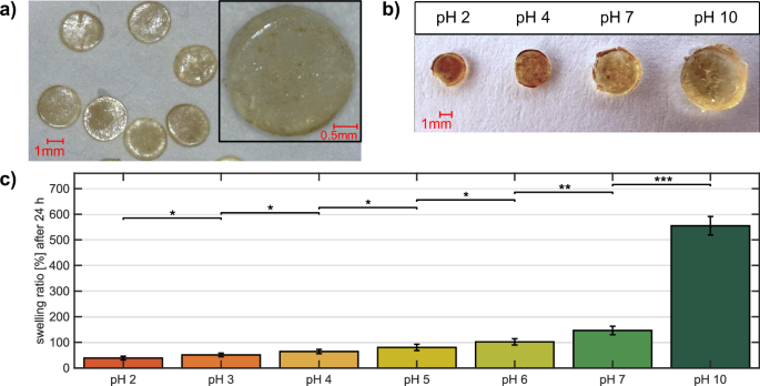 Fig. 2: Magnetic hydrogel patches and their pH-dependent swelling behavior.
