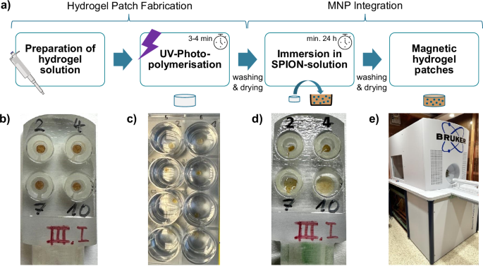 Fig. 6: Magnetic hydrogel patch fabrication and preparation of hydrogels for MPI in a 3D-printed phantom.