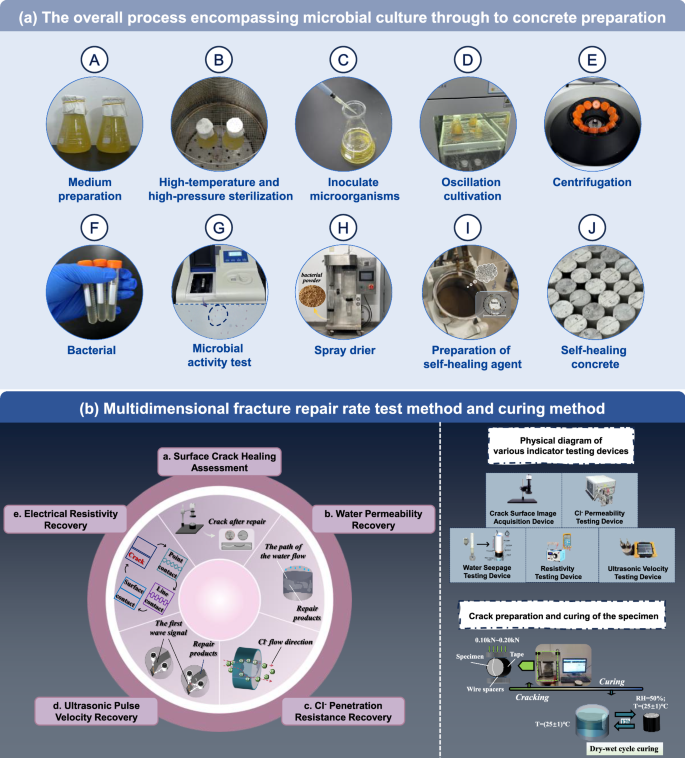 Fig. 1: From microbial cultivation to performance assessment: a holistic workflow for self-healing concrete.