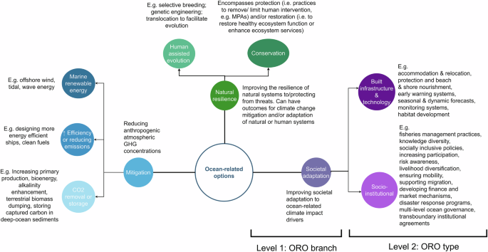 Fig. 1: Ocean-related option (ORO) typology.