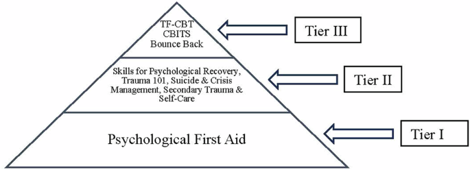 Implementation of trauma and disaster mental health awareness training in Puerto Rico