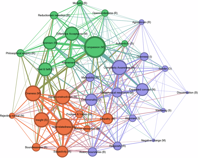 Fig. 3: Thematic network of post-psychedelic epistemic shifts.