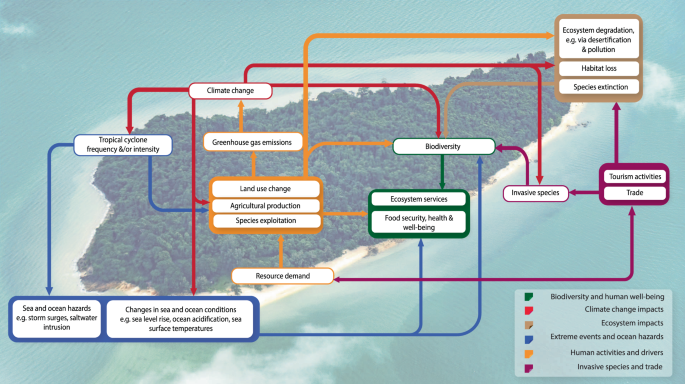 Fig. 1: The nexus of interactions in small island systems.