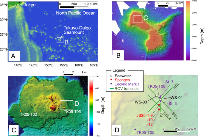 Utilizing environmental DNA and imaging to study the deep-sea fish community of Takuyo-Daigo Seamount