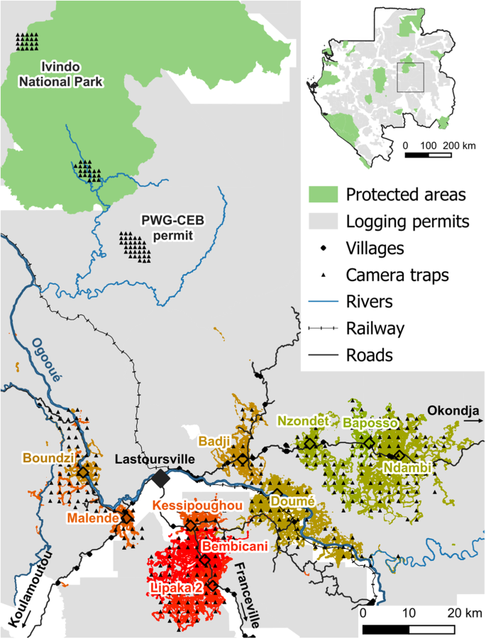 Hunting indicators for community-led wildlife management in tropical Africa