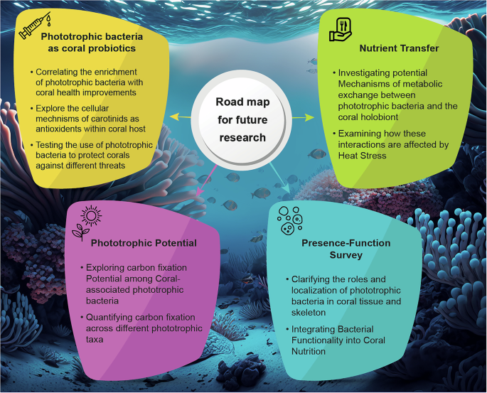 Fig. 2: Roadmap highlighting key research topics to improve our understanding of the role of phototrophic bacteria in coral health.
