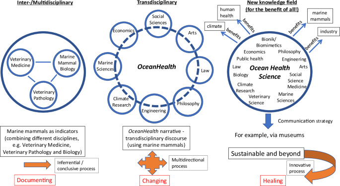 Fig. 1: A transdisciplinary discourse and a new knowledge field for the Anthropocene.