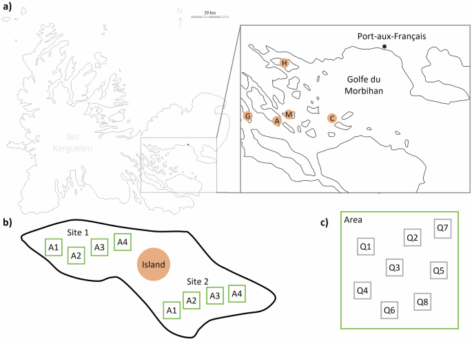 Fig. 6: Description of the sampling design.