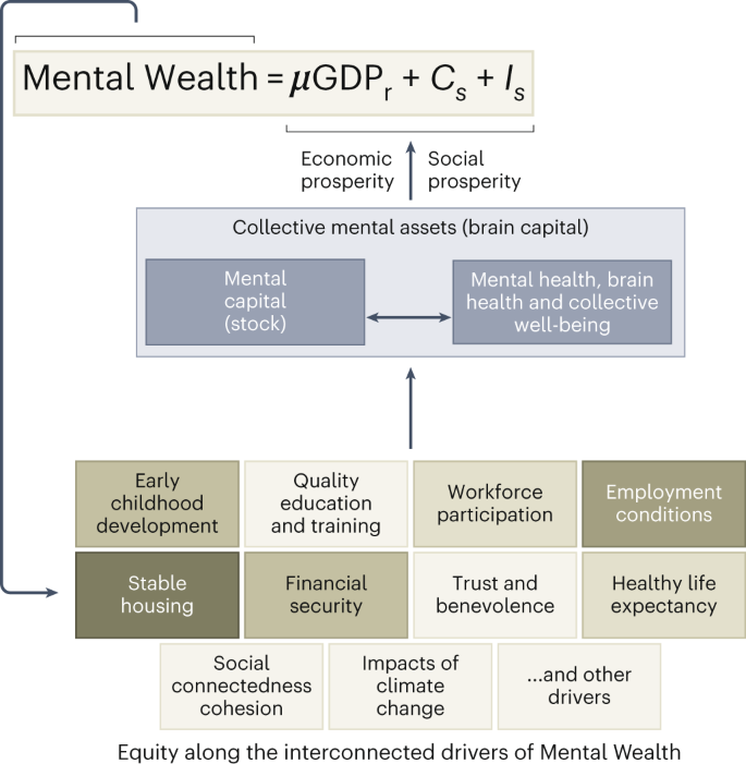 Fig. 1: Defining Mental Wealth.
