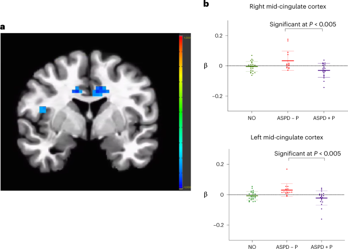Fig. 1: Group differences in placebo condition.