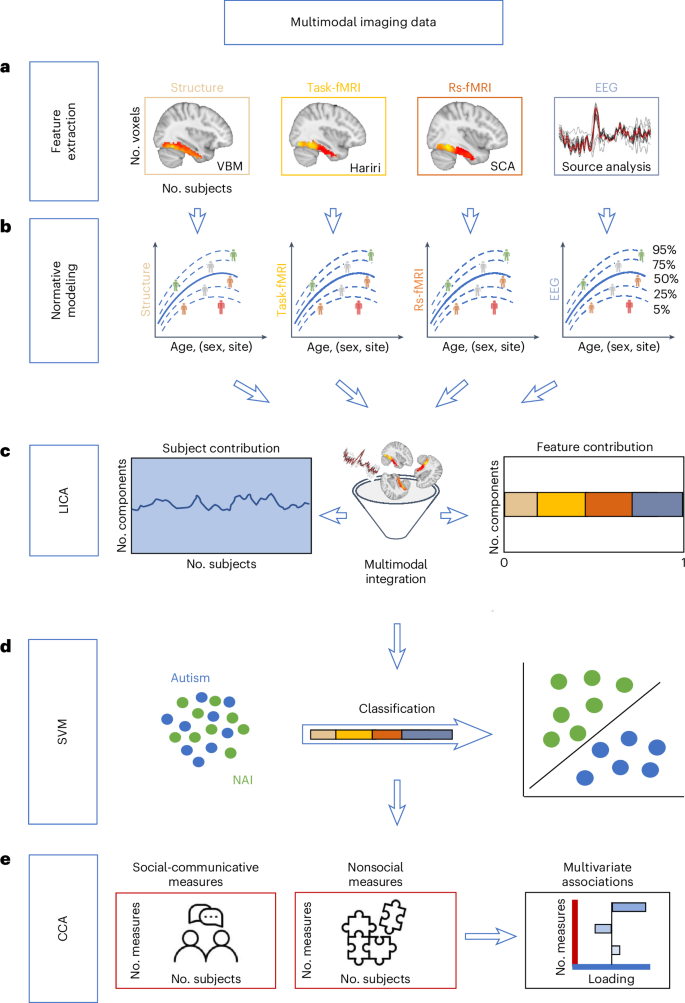 A multimodal neural signature of face processing in autism within the fusiform gyrus