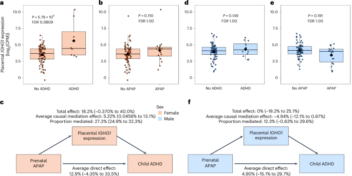 Associations of maternal blood biomarkers of prenatal APAP exposure with  placental gene expression and child attention deficit hyperactivity  disorder