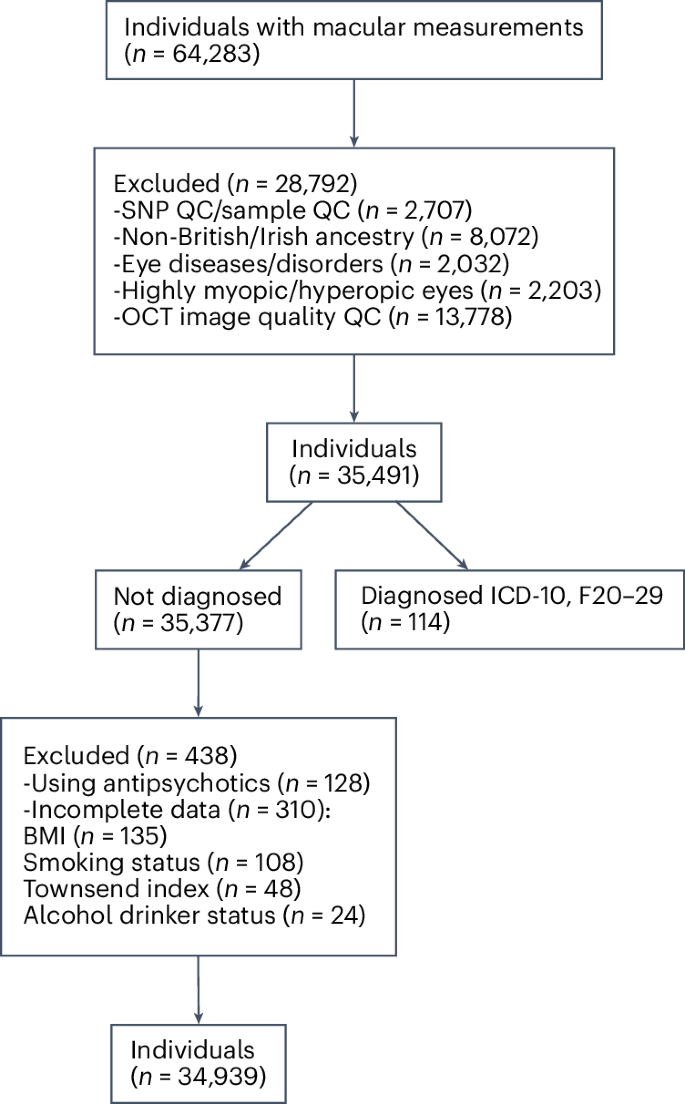 Fig. 2: Diagram of inclusion and exclusion of participants in this population.
