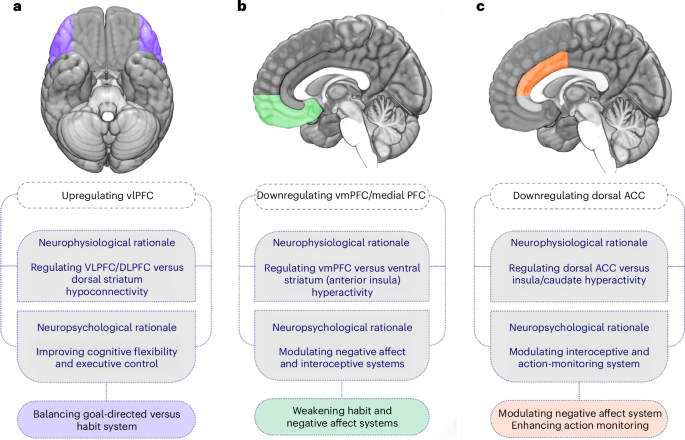 Fig. 6: tES interventions with therapeutic potential.