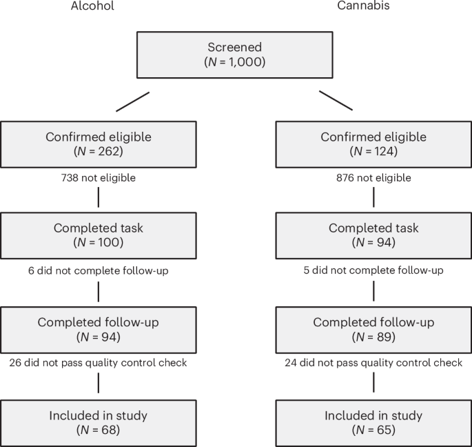 Fig. 1: Participant recruitment flow chart.