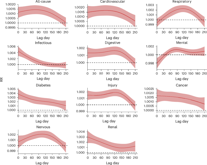 Fig. 2: RRs of hospitalization (n = 300,470,192) after exposure to floods in all communities.
