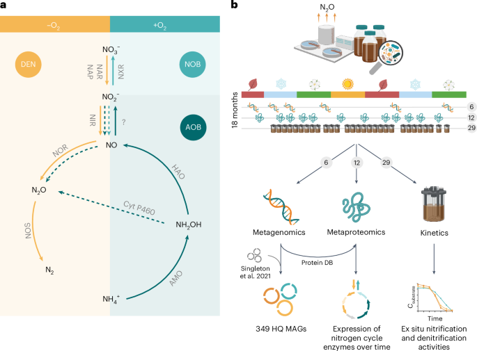 Fig. 1: Schematic representation of the nitrogen cycle, experimental approach and obtained datasets.