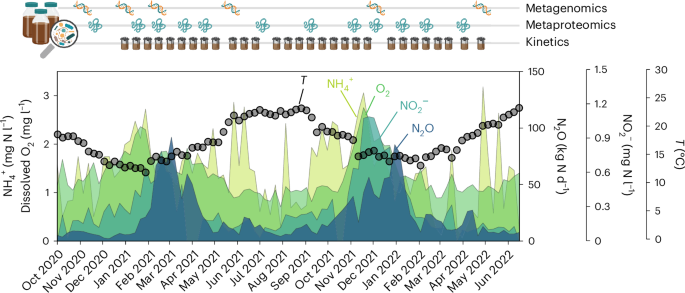 Fig. 2: Performance of the WWTP monitored for nearly 2 years.