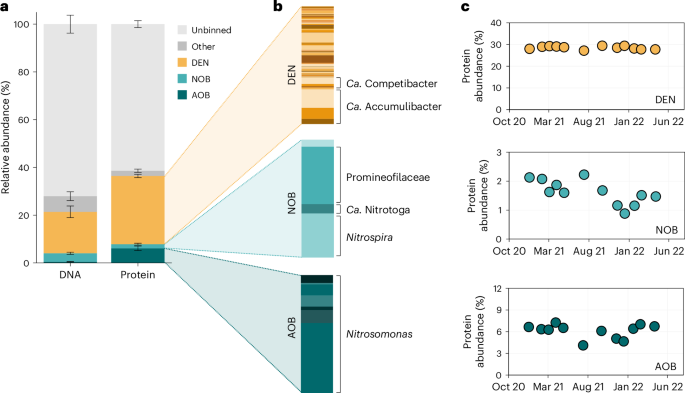 Fig. 4: MAG-based functional guild distribution in the metagenomes and metaproteomes of the activated sludge.