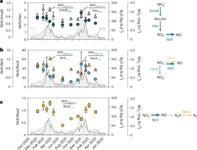 Fig. 6: NirK overexpression relative to other nitrogen enzymes during periods of high NO2− concentrations and N2O emissions.