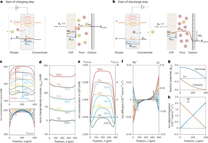Fig. 2: Behaviour of CSE at EIP start-up.