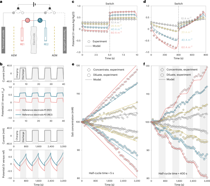 Fig. 5: Experimental validation of EIP ion transport model.
