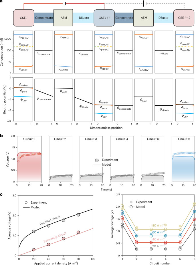 Fig. 6: Ion transport and voltage characteristics of a multi-electrode EIP stack.