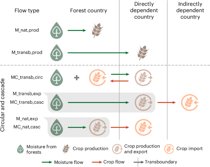 Forests support global crop supply through atmospheric moisture transport – Nature