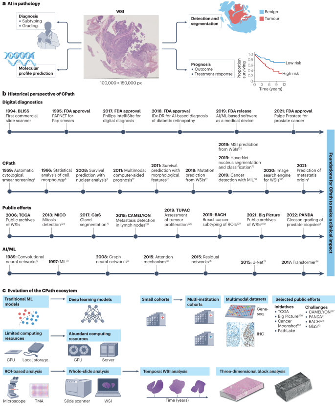 Artificial intelligence for digital and computational pathology 