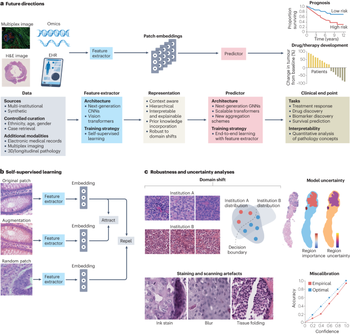 Artificial intelligence for digital and computational pathology 