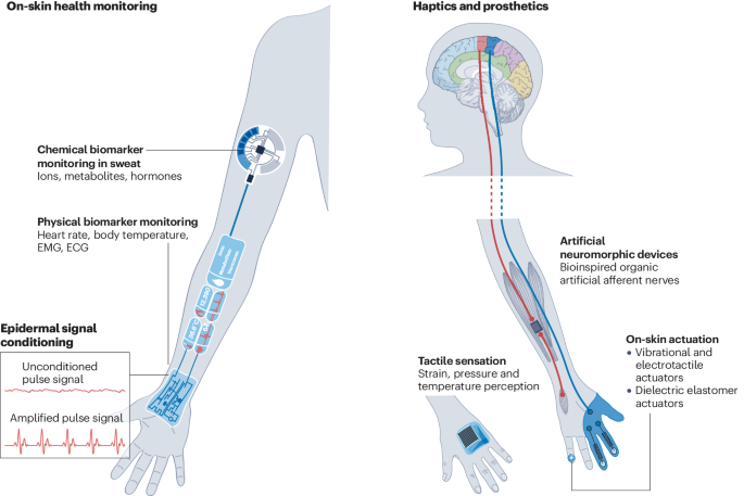 Skin-inspired soft bioelectronic materials, devices and systems 