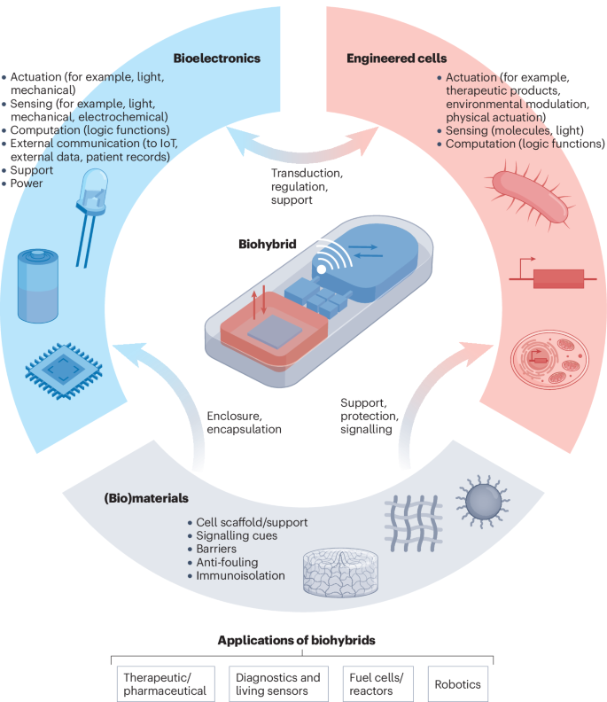Integrating bioelectronics with cell-based synthetic biology 