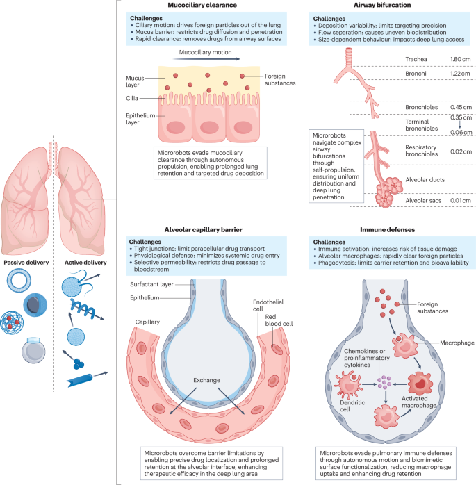 Microrobots for pulmonary drug delivery | Nature Reviews Bioengineering