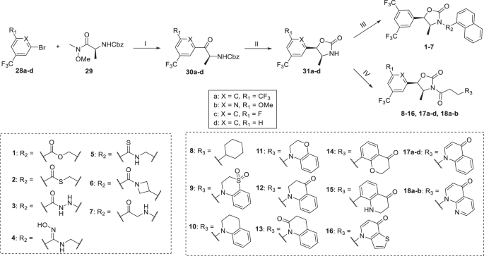 scheme 1