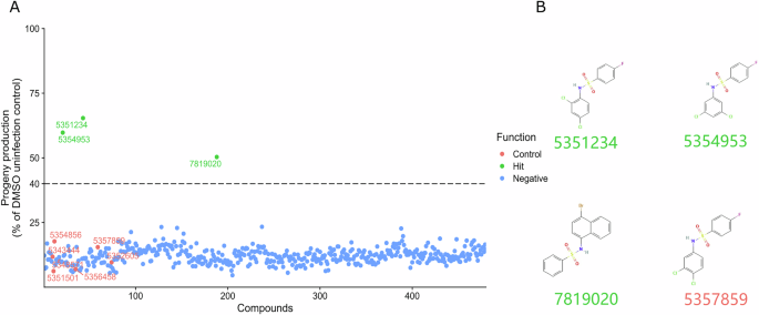 Fig. 7: Screen of 475 ChemBridge benzenesulfonamide analogs identifies higher affinity N. parisii inhibitors.