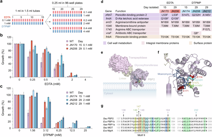 Fig. 1: Isolation and characterisation of S. aureus chelator-resistant mutants.