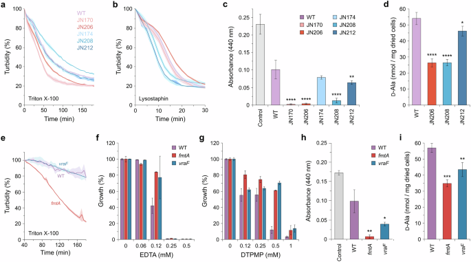 Fig. 4: Susceptibility of S. aureus mutants to cell wall agents and alterations in cell surface charge.