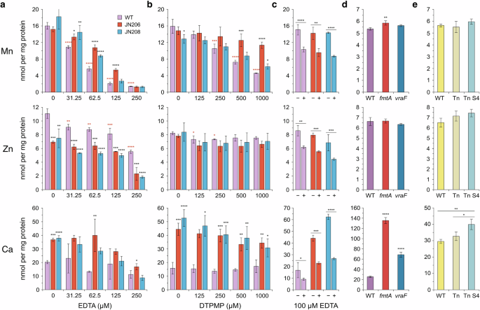 Fig. 5: Effect of chelators on the cellular Mn, Zn and Ca composition of S. aureus mutants.